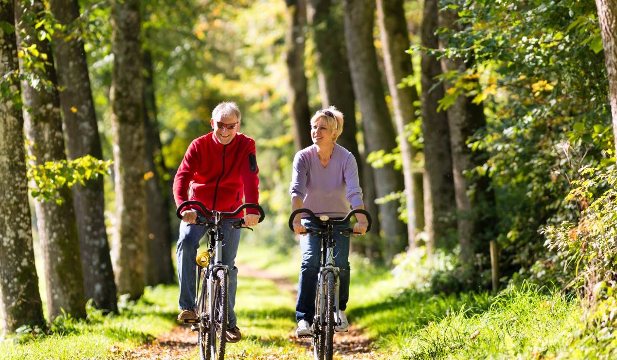Fietsen van de verhuur